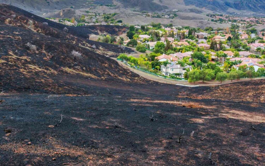 California Wildfires