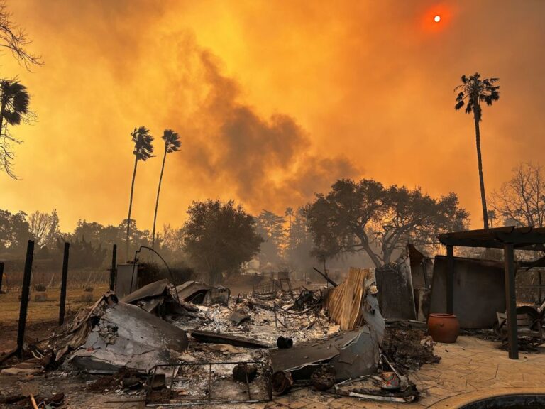 A picture showing a home that burned in a California wildland urban interface fire with debris in the forefront and burning trees in the background.