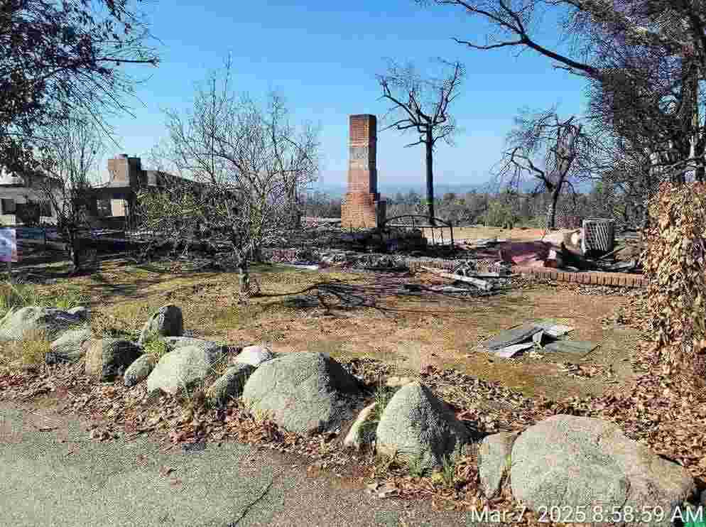 A picture Jeanine took from a California homeowner’s property after the Palisades fire, showing surrounding destruction.